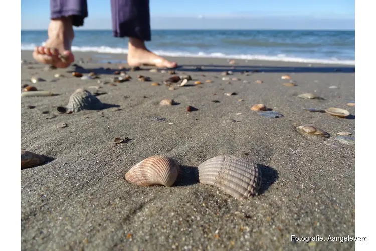 Comenius Museum en Podium deMess slaan handen ineen voor avond over relatie mens-natuur