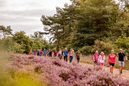Inschrijving Pink Ribbon Soester Wandelweekend geopend