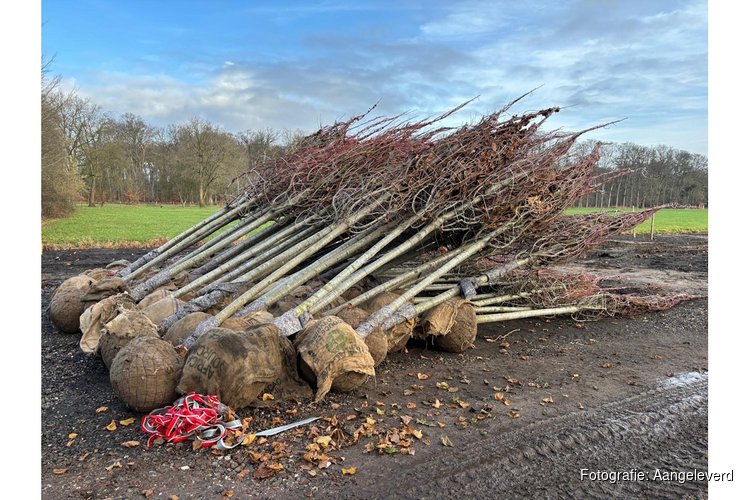 Groen keert terug in de tuin van Buitenplaats Trompenburgh