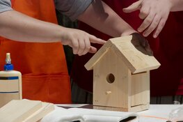 OERRR Vogelhuisjes bouwen in ’s-Graveland