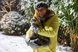Kat Cookie van het dak gered door de brandweer