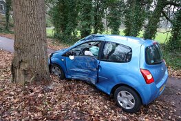 Automobilist botst tegen boom en raakt gewond