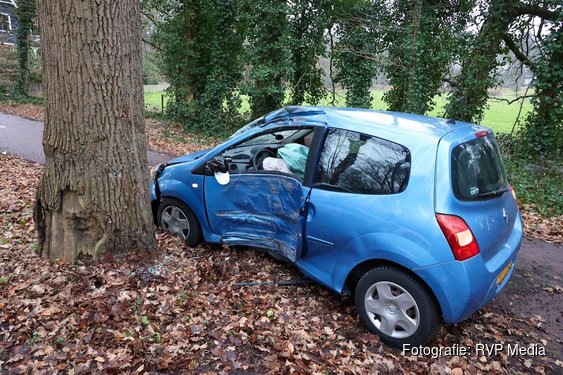 Automobilist botst tegen boom en raakt gewond