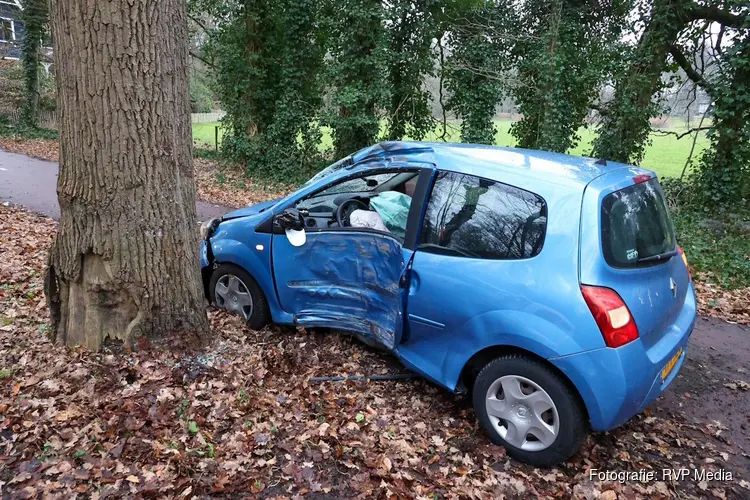 Automobilist botst tegen boom en raakt gewond