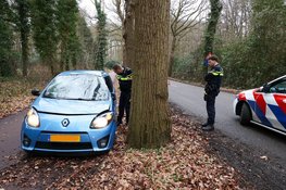 Automobilist botst tegen boom en raakt gewond