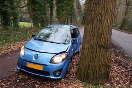 Automobilist botst tegen boom en raakt gewond