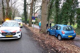 Automobilist botst tegen boom en raakt gewond