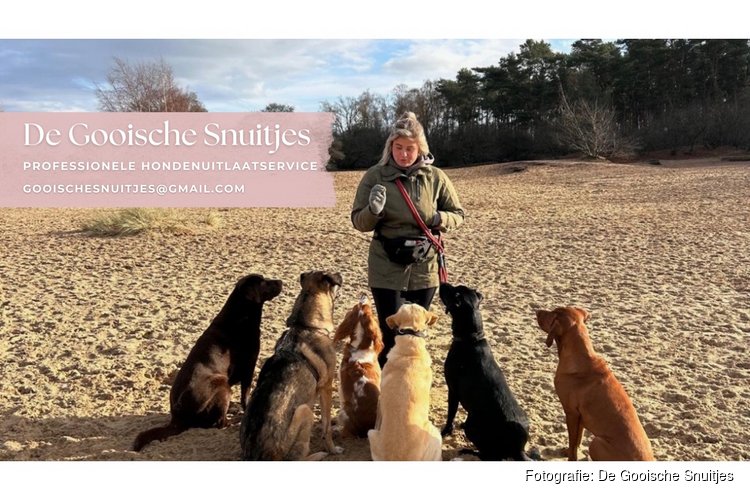De Gooische Snuitjes! De professionele hondenuitlaatservice in ’t Gooi