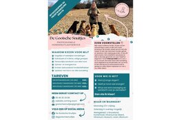 De Gooische Snuitjes! De professionele hondenuitlaatservice in ’t Gooi