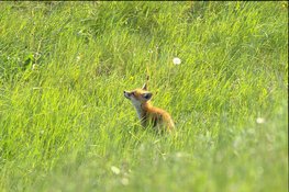 Festina Lente: Beleef de lente in alle rust