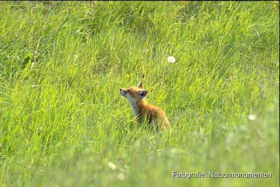Festina Lente: Beleef de lente in alle rust