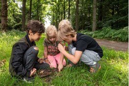 OERRR struinen en afdrukken maken met de boswachter in ‘s-Graveland