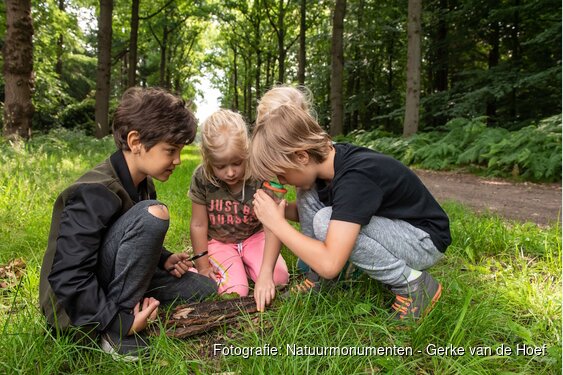 OERRR struinen en afdrukken maken met de boswachter in ‘s-Graveland