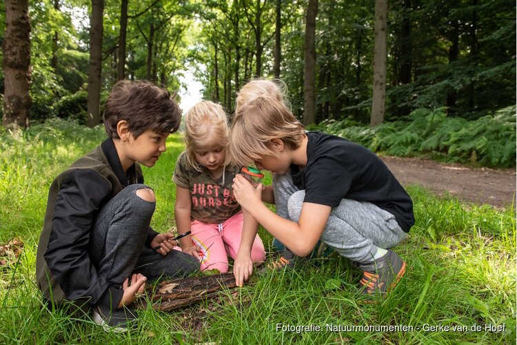 OERRR struinen en afdrukken maken met de boswachter in ‘s-Graveland