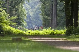 Festina Lente Ontspannen wandeling│Gezinnen