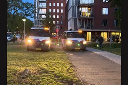 Vier aanhoudingen bij demonstratie in Loosdrecht, persfotograaf geraakt door wapenstok