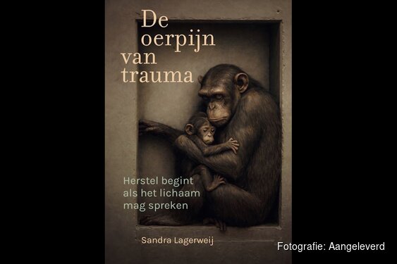 Nieuw boek over trauma en het lichaam – 'De oerpijn van trauma'