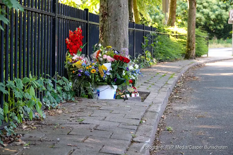 Scooterrijder (17) die in Hilversum tegen boom reed, is overleden