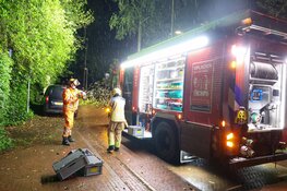 Boom omgevallen door flinke storm in Laren