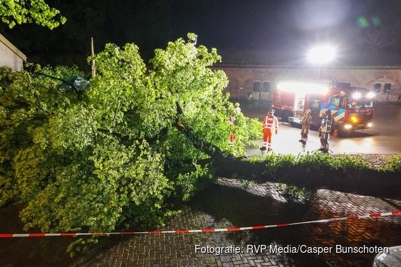 NL alert verzonden vanwege storm, boom omgevallen in Naarden