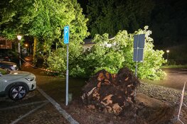 NL alert verzonden vanwege storm, boom omgevallen in Naarden