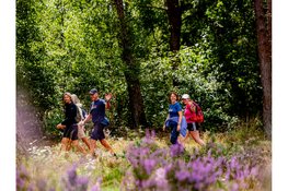 Pink Ribbon Soester Wandelweekend populairder dan ooit
