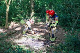 Kinderen stoken fikkie in het bos in Naarden