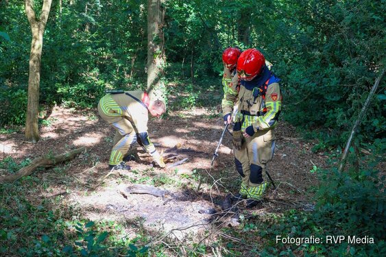 Kinderen stoken fikkie in het bos in Naarden