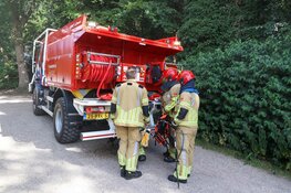 Kinderen stoken fikkie in het bos in Naarden