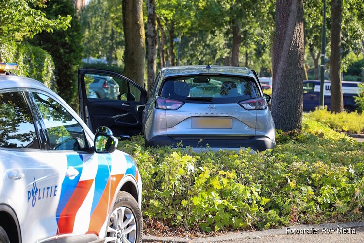 Bestuurder raakt onwel en rijdt de bosjes in