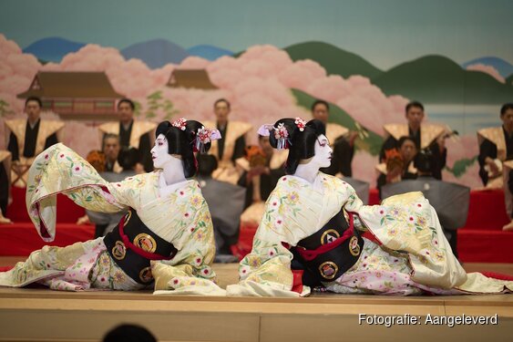 Gloednieuw filmclubseizoen vanaf oktober in Filmhuis Bussum