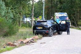 Auto rijdt over boomstammen in Bussum, bestuurder nagekeken door ambulancepersoneel