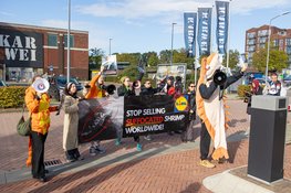 Demonstratie bij Lidl-hoofdkantoor in Huizen vanwege dierenwelzijn kweekgarnalen
