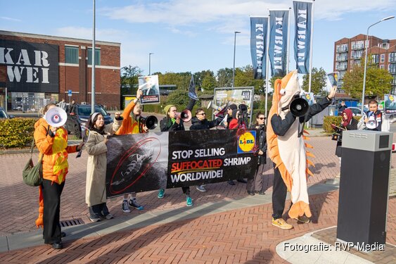 Demonstratie bij Lidl-hoofdkantoor in Huizen vanwege dierenwelzijn kweekgarnalen