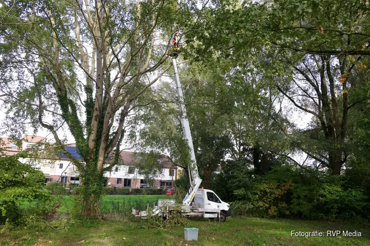 Medewerkers vast in hoogwerker bij verwijderen hoornaarsnest in Huizen