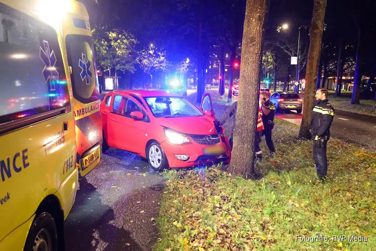 Auto botst tegen boom op Het Merk in Huizen: bestuurder naar ziekenhuis, hond blijft ongedeerd