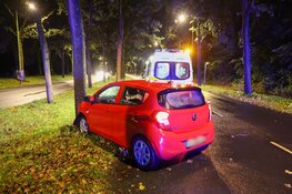 Auto botst tegen boom op Het Merk in Huizen: bestuurder naar ziekenhuis, hond blijft ongedeerd