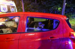 Auto botst tegen boom op Het Merk in Huizen: bestuurder naar ziekenhuis, hond blijft ongedeerd