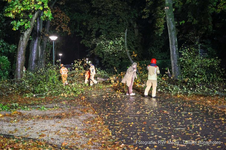 Boom uit tuin van Linda de Mol waait op de weg in Huizen
