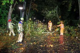 Boom uit tuin van Linda de Mol waait op de weg in Huizen