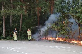 Stuk natuur afgebrand in Hilversum
