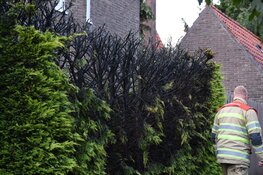 Brand in heg door onkruidbestrijding