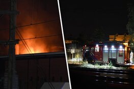 Aan kabels knagende kat oorzaak brand transformatorhuisje Hilversum