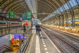 Prorail pakt verouderde monumentale perronkappen aan
