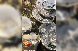 Kunstenaar Hannelore Houdijk wint ‘Schilderij van het Jaar’