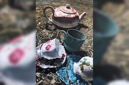 Kunstenaar Hannelore Houdijk wint ‘Schilderij van het Jaar’