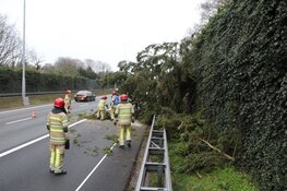 Boom komt terecht op A1