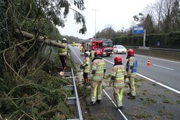 Boom komt terecht op A1