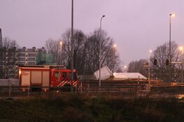 Zondagse storm Ciara houdt Nederland in greep (fotoalbum)