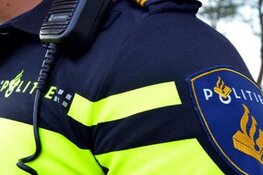 Politie zoekt getuigen vernieling bij school